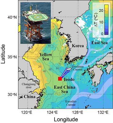 Persistent Continental Shelf Carbon Sink at the Ieodo Ocean Research Station in the Northern East China Sea